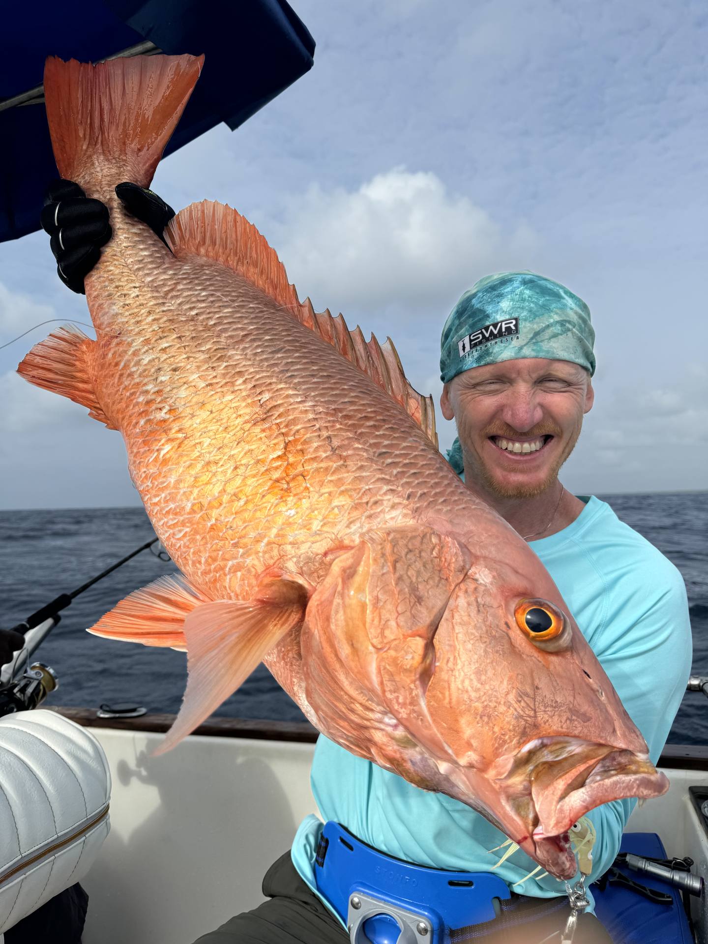 Image - b6fc3b80-20e7-4902-b4af-9d0ba308f3ba