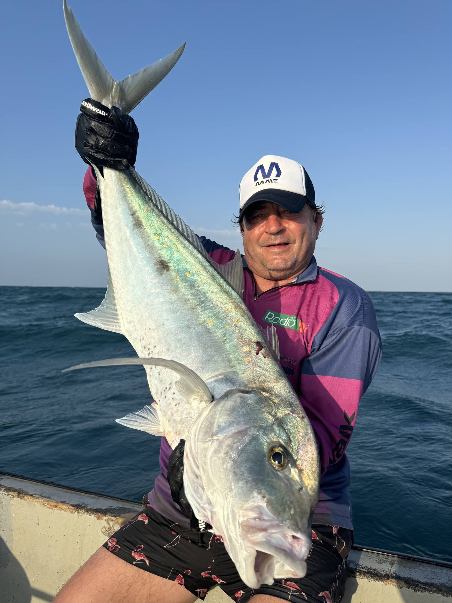 Image - f1e2b817-150a-410f-9d89-6689f95af441