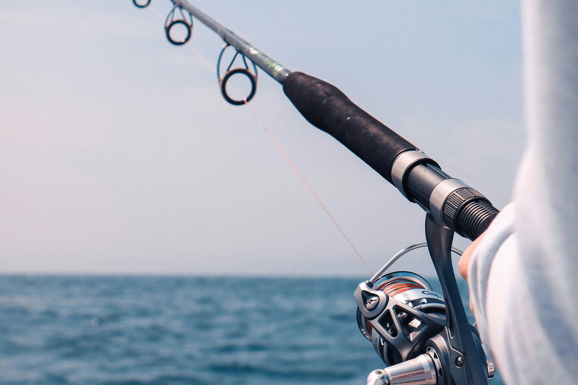 Image - ac91625e-ee87-4cb2-be82-1332c2f029be